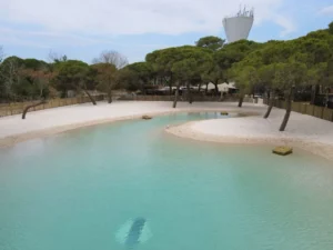 LA TAMARISSIÈRE