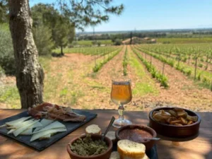 Camping Le Bois de Pins